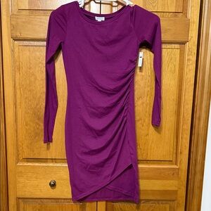 NWT Leith Long Sleeve Dress in Wine